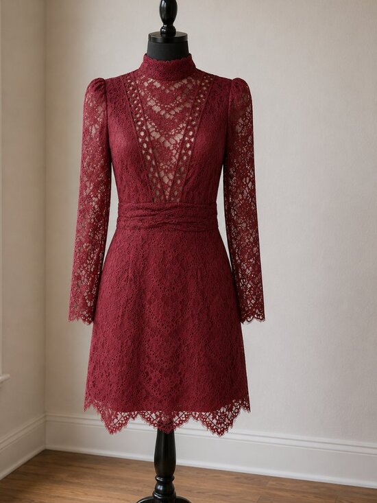 SAYLOR Dresses & Skirts - Saylor Celia Russet Red Lace Mock Neck Long Sleeve Dress L Boho Romantic wedding